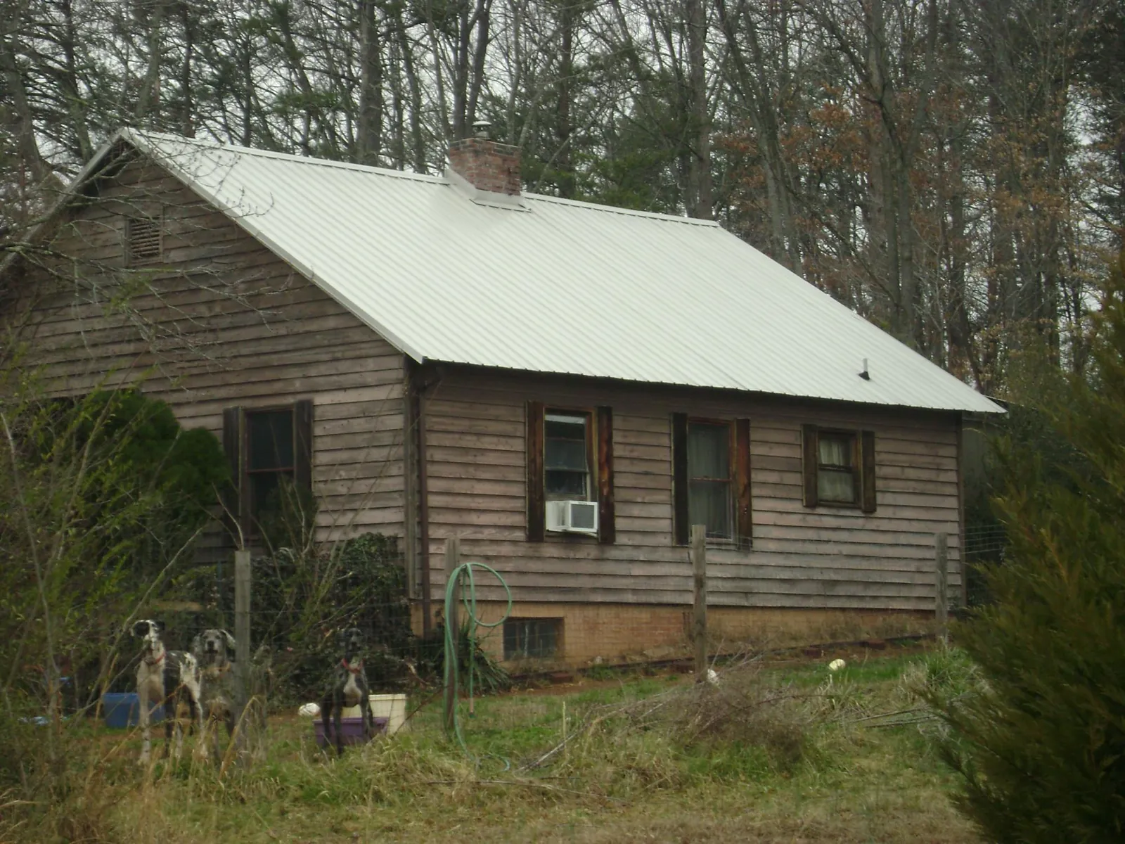 White metal roof on an old wood sided farmhouse, from a Asphalt Shingle Roof Repair job in Newfield